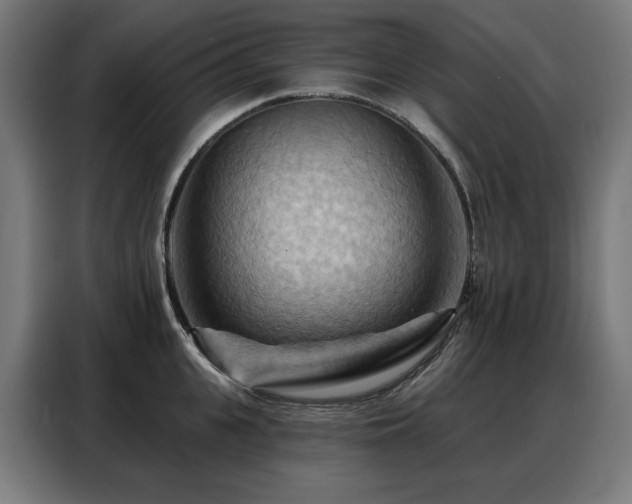 X0000088380951200705221051