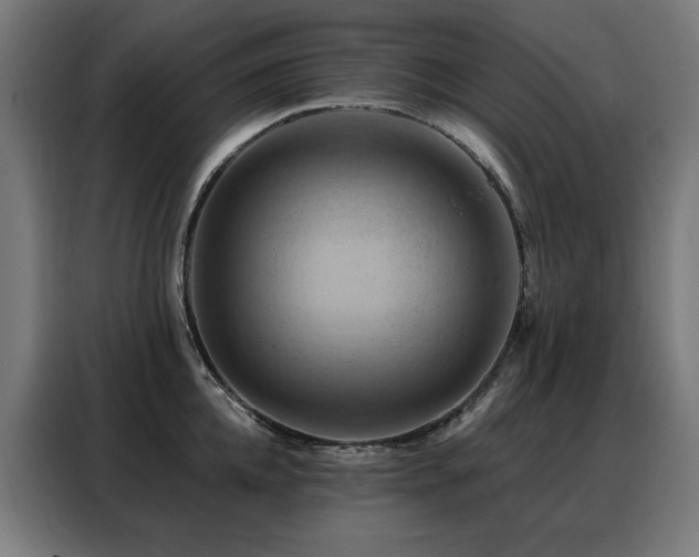 X0000088380952200705221051
