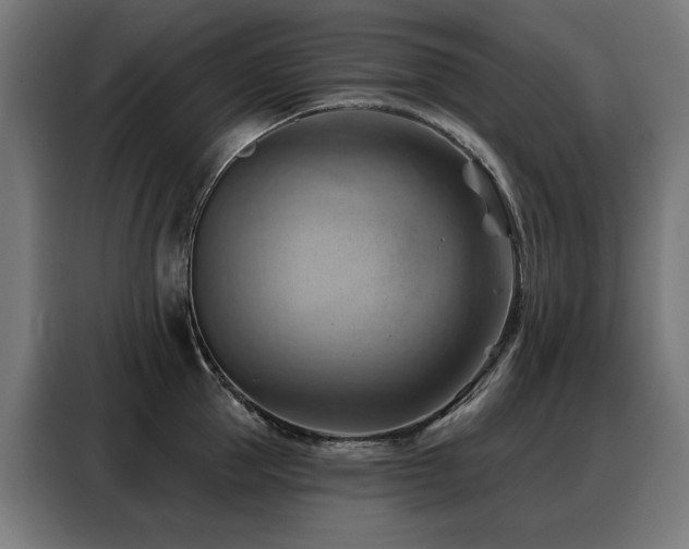X0000088380953200705221051