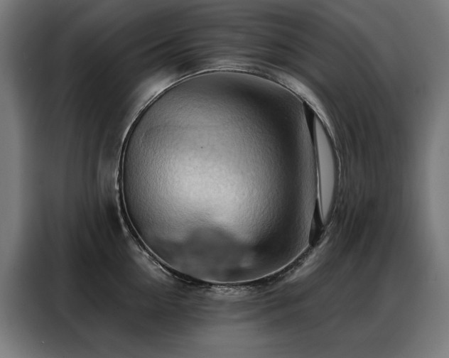 X0000088380954200705221051