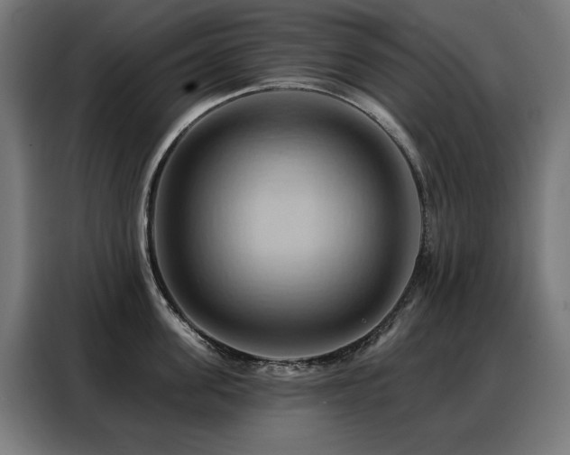 X0000088380955200705221051