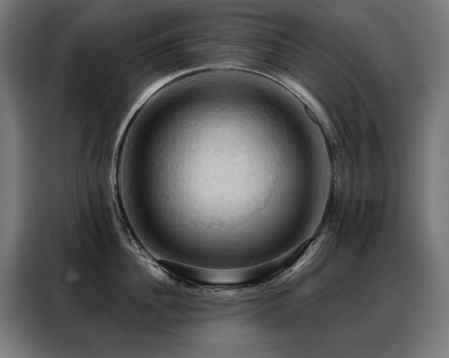 X0000088380956200705221051