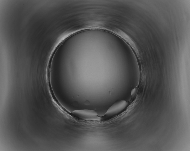 X0000088380958200705221051