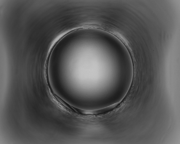 X0000088380960200705221051