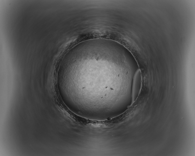 X0000088380961200705221050