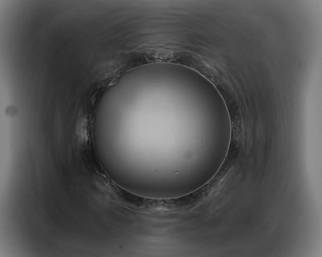 X0000088380962200705221050