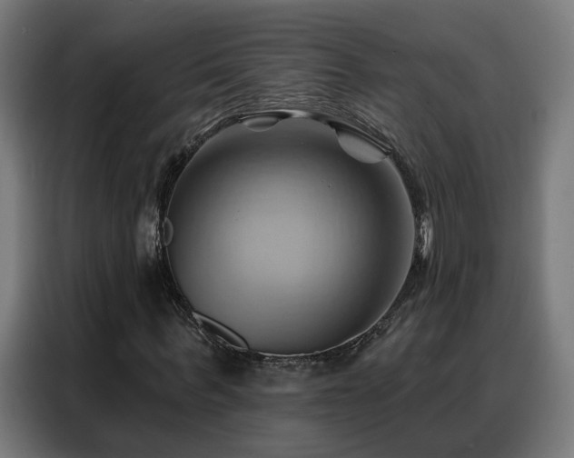 X0000088380963200705221050