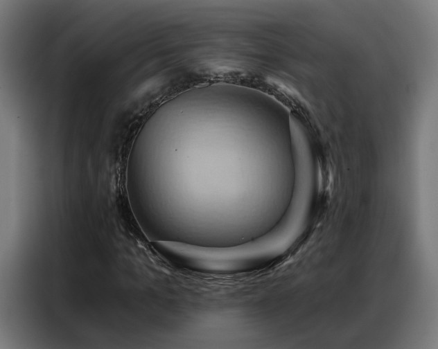 X0000088380965200705221050