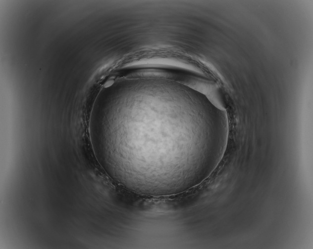 X0000088380967200705221050