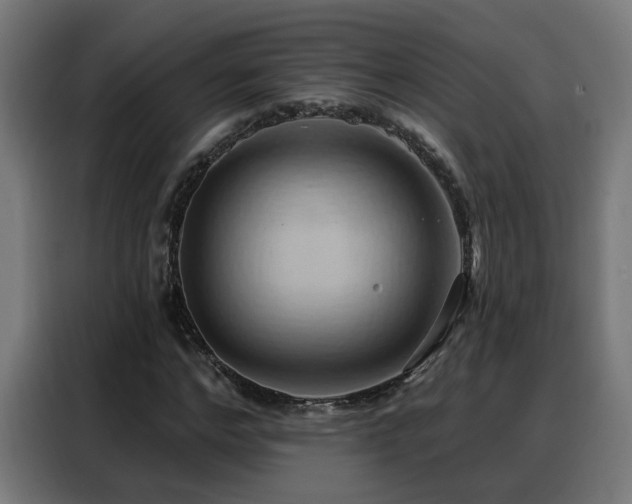X0000088380968200705221050