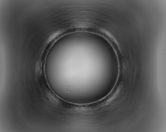 X0000088380970200705221050