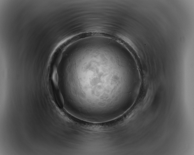 X0000088380971200705221050