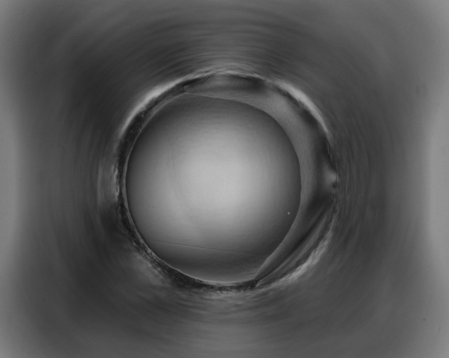 X0000088380973200705221050
