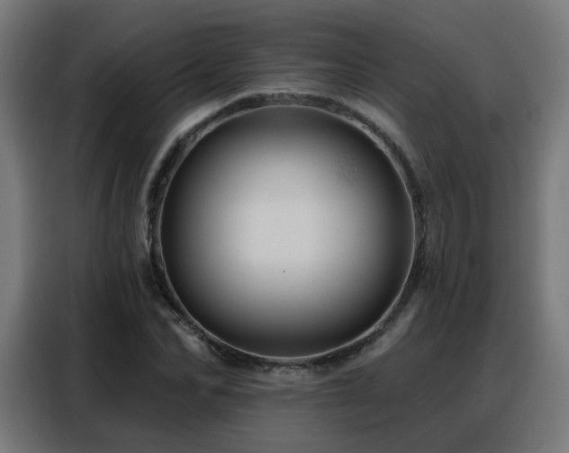 X0000088380974200705221050