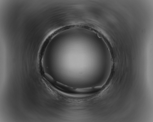X0000088380975200705221050