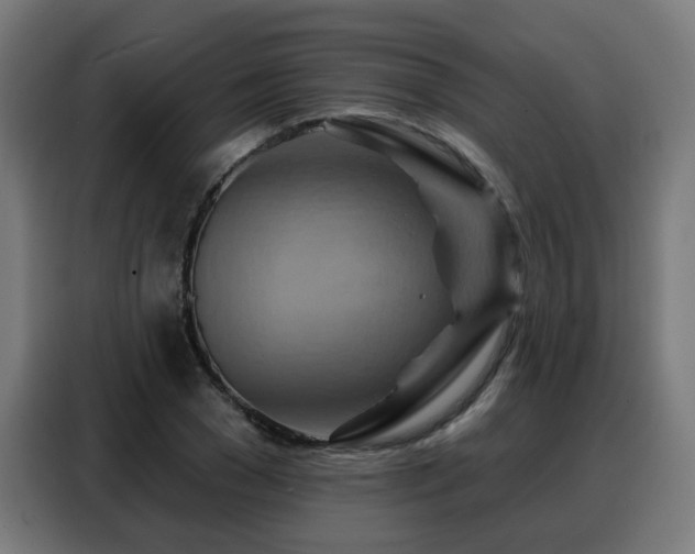 X0000088380977200705221050