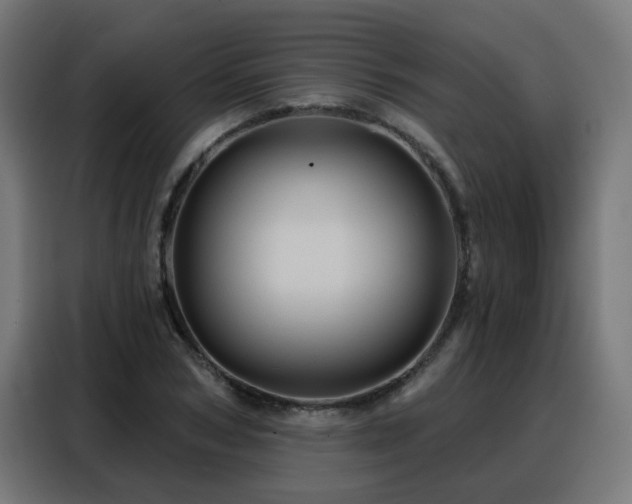 X0000088380978200705221050