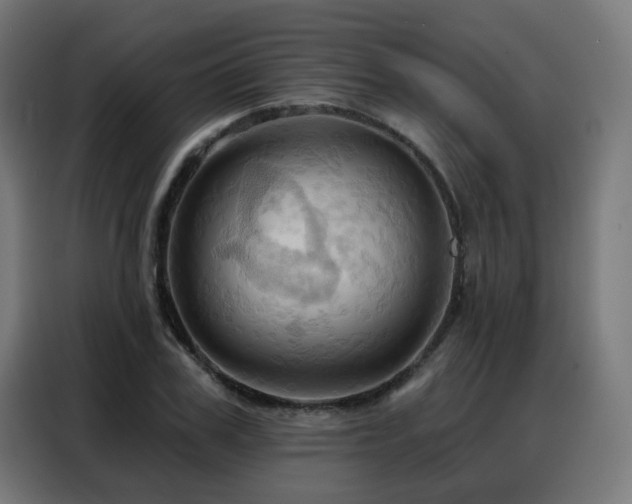 X0000088380979200705221050