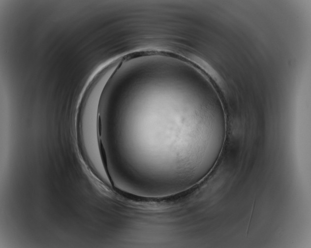 X0000088380980200705221050