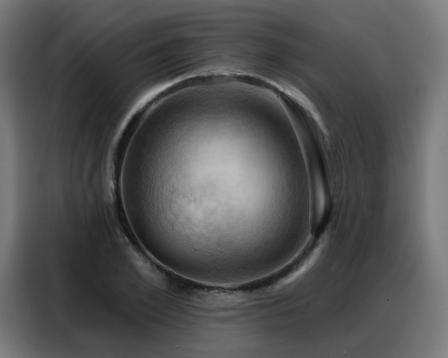X0000088380981200705221050