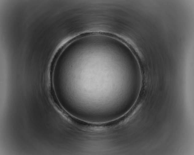 X0000088380982200705221050