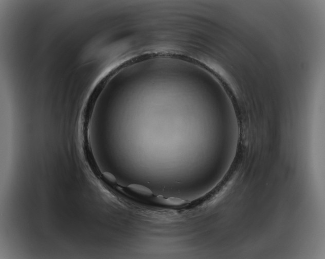 X0000088380983200705221050