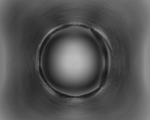 X0000088380984200705221050