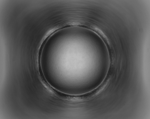 X0000088380986200705221050