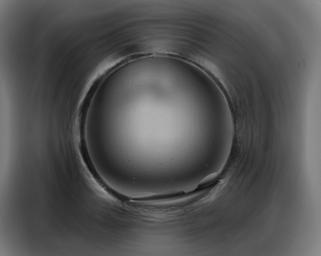 X0000088380987200705221050