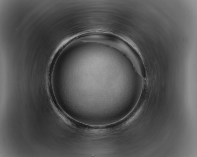 X0000088380989200705221050