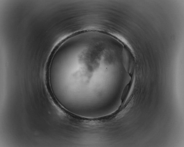 X0000088380991200705221050