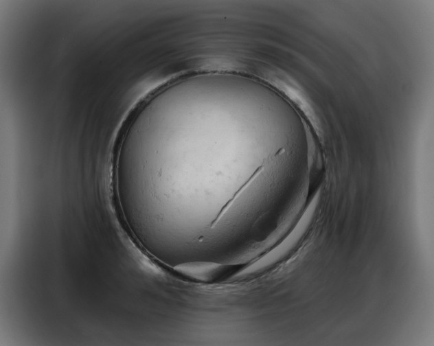 X0000088380992200705221050