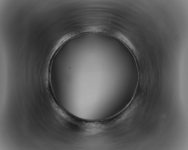 X0000088380994200705221050
