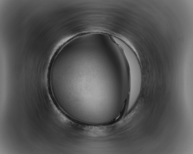 X0000088380995200705221050