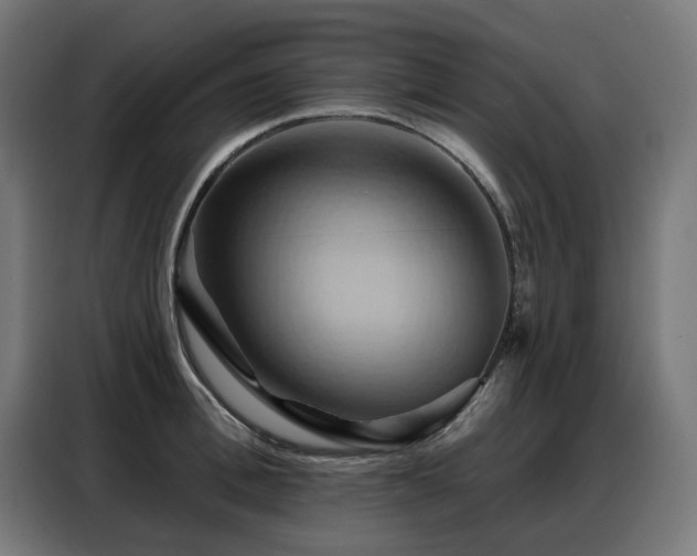 X0000088380996200705221050