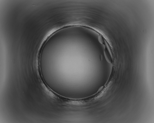 X0000088380998200705221050