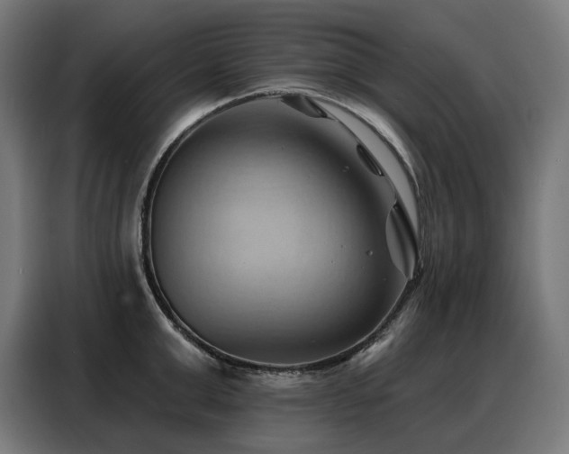 X0000088380999200705221050