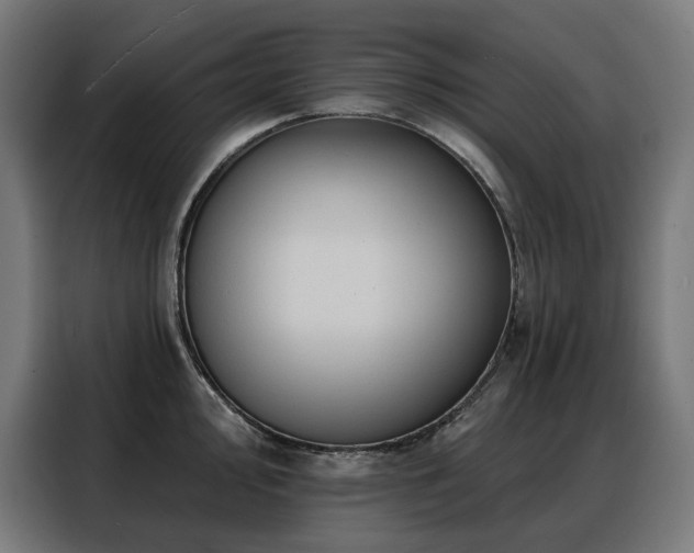 X0000088381000200705221050