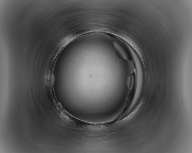 X0000088381001200705221050