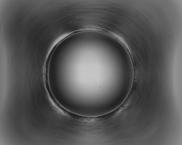 X0000088381003200705221050