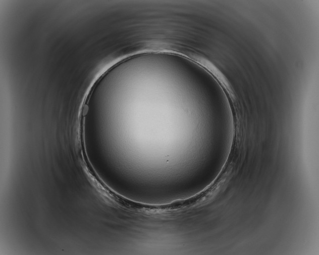 X0000088381004200705221050
