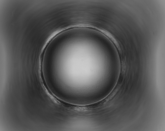 X0000088381006200705221050