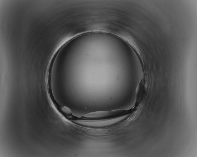 X0000088381007200705221049