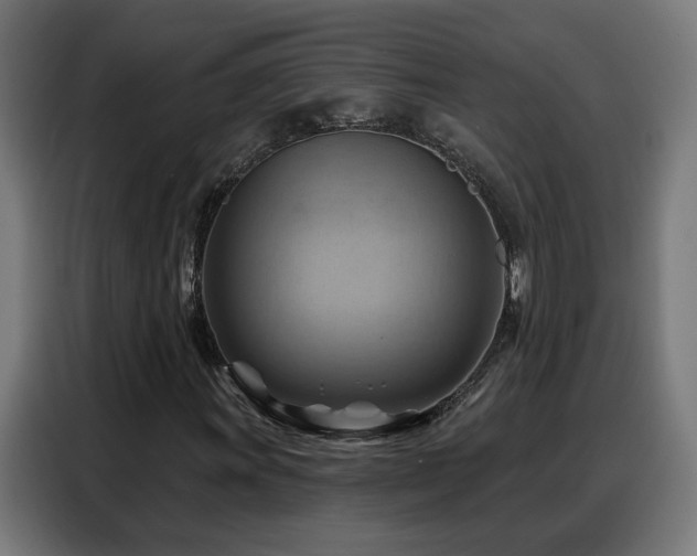 X0000088381011200705221049