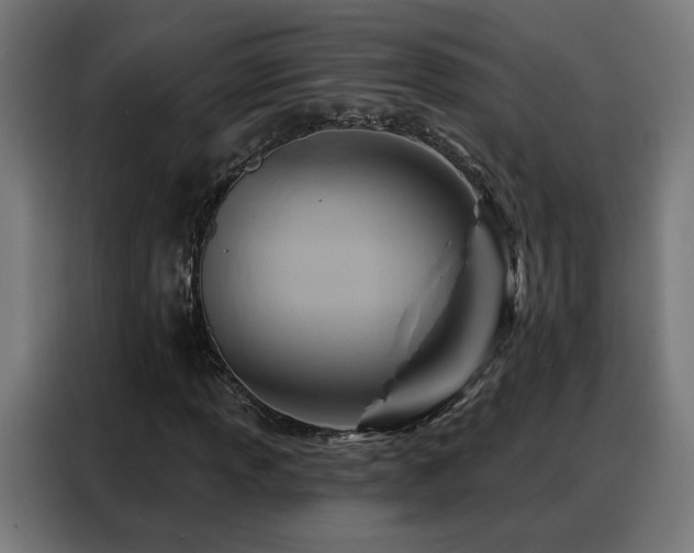 X0000088381013200705221049