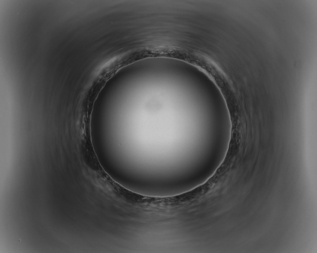 X0000088381016200705221049