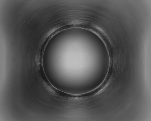 X0000088381017200705221049