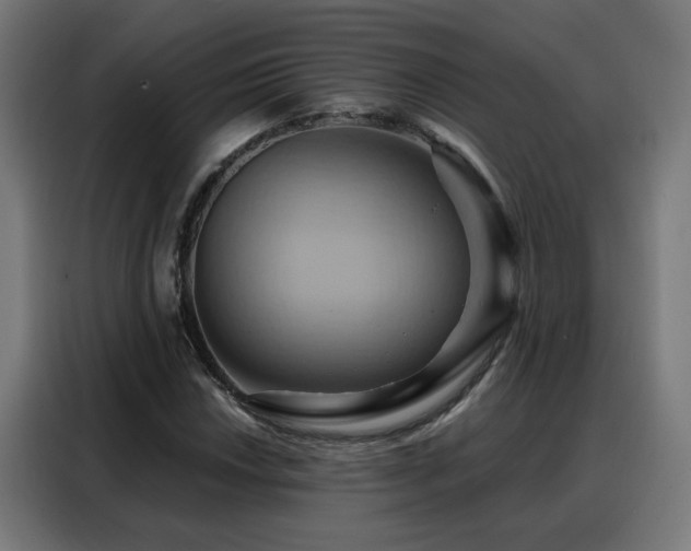 X0000088381018200705221049