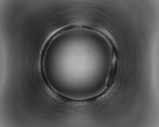 X0000088381020200705221049