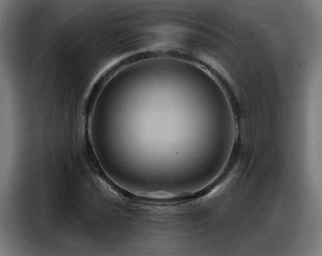 X0000088381021200705221049